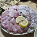 바다사랑 | [서울/연남] 웨이팅 지옥 서울 방어 맛집, 홍대 바다회사랑_내돈내산 솔직후기