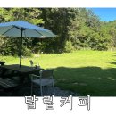 6800 | 대전 탑립동 ‘탑립커피’ :: 가든뷰가 예쁜 대전 애견동반카페