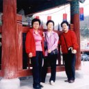 최달순 Daum카페