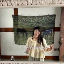 대구 미용실 유키니언 삼덕한옥점 :: 메리쌤과 함께하는 흑발 탈출 가을맞이 애쉬브라운으로 은은하게...