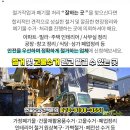 대림공판장 이미지