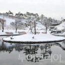 (주)동양해외관광 이미지