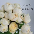 줄리엣이뽀