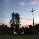 협재블리스 이미지