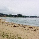 화진포관광지1 이미지