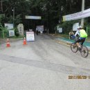 수원-0081 Daum카페