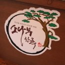 소나무한그루 이미지