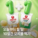 지에스25 광영가야점 | GS25 서울우유 우유크림소금빵 vs 황치즈크림소금빵 솔직후기 (feat. 1+1의 반전)