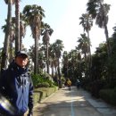 일출랜드식물원 이미지