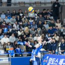 화성종합경기타운(실내체육관) 이미지