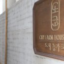 도시농가코페 이미지