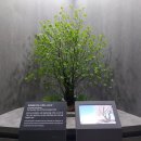 마니산 국민관광지 이미지