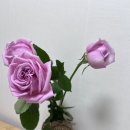 총신대학교 일반대학원 | 마포심리상담센터 심리상담바우처 상담후기