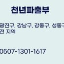 천년파출부