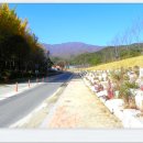 사명대사길 이미지