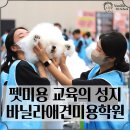바닐라애견미용학원 이미지