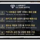 스테빌리움 이미지