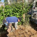 운서초등학교 이미지