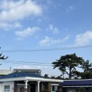 방울풍뎅이 이미지