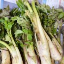 참샘마트 이미지