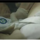 바이오넷 이미지