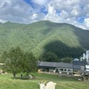 산양2호 이미지