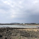 도구리알