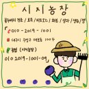 다사농장 네이버블로그