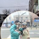 댕댕몽띠끄 이미지