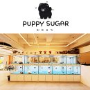 퍼피슈가 이미지