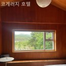 코게러지 호텔 | 양양호텔 코게러지 호텔 힐링 가능한 곳