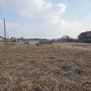 평동농장 이미지