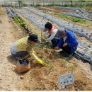 하수농장 이미지