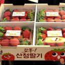 신광청과