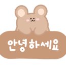 바바포레스트 이미지