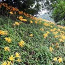 무창 농촌체험 휴양마을 이미지