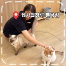 캣카페 집사의하루 분당점 이미지