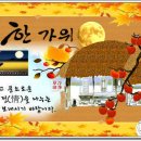 풍년길 Daum카페
