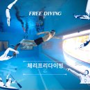 대둔산로(2) | 체리프리다이빙 강습 리얼 후기! 청주다이빙 처음인데 이렇게 재밌다고?