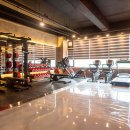 GM피티샵 이미지