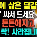 달걀과 함께 먹으면 보약되는 음식 3가지와 레시피 총정리! 이것으로 싸드세요 근육 튼튼해지고 질병 사라집니다 이미지