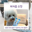 오늘도 댕댕이 | 강아지 피부 영양제 추천, 발사탕 탈출 댕댕이 츄르 피키펫 피키츄 스킨 후기