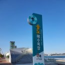 송도해수욕장 | 포항 숙소 추천｜하운드호텔 포항송도해수욕장 내돈내산 후기 (조식 무료·주차·오션뷰)