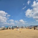 하이멍 애견카페 이미지