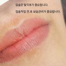 김영지뷰티 | 입술타투 직후 사진만 보고 결정하면 안 되는 이유 광양 입술타투 전문 김영지뷰티
