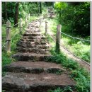 저지오름 이미지