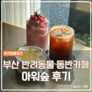 쥬니멀 반려동물카페 | 부산 정관 반려동물 동반카페 아워숲 방문 후기 주차·메뉴·실내공간 정리