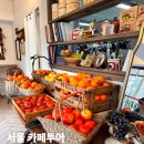 숲;카페