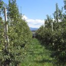 외라농장 이미지