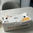 60계 전남광양중마점